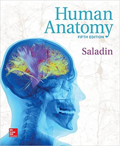 Human Anatomy (5th Edition) - Kenneth Saladin - eBook