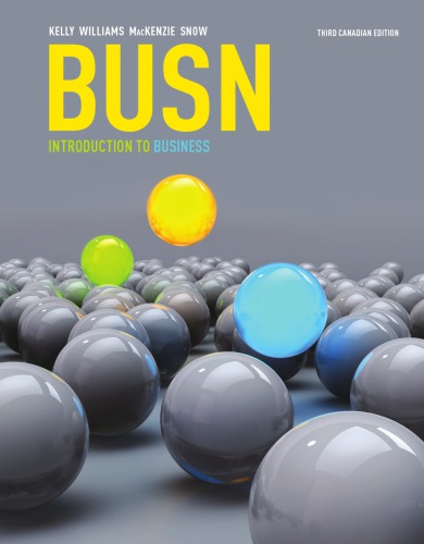 BUSN - Introduction to Business (3rd Canadian Edition) - eBook