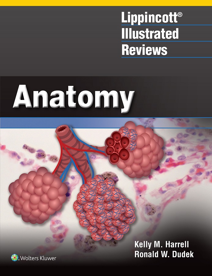 Lippincott Illustrated Reviews: Anatomy - eBook