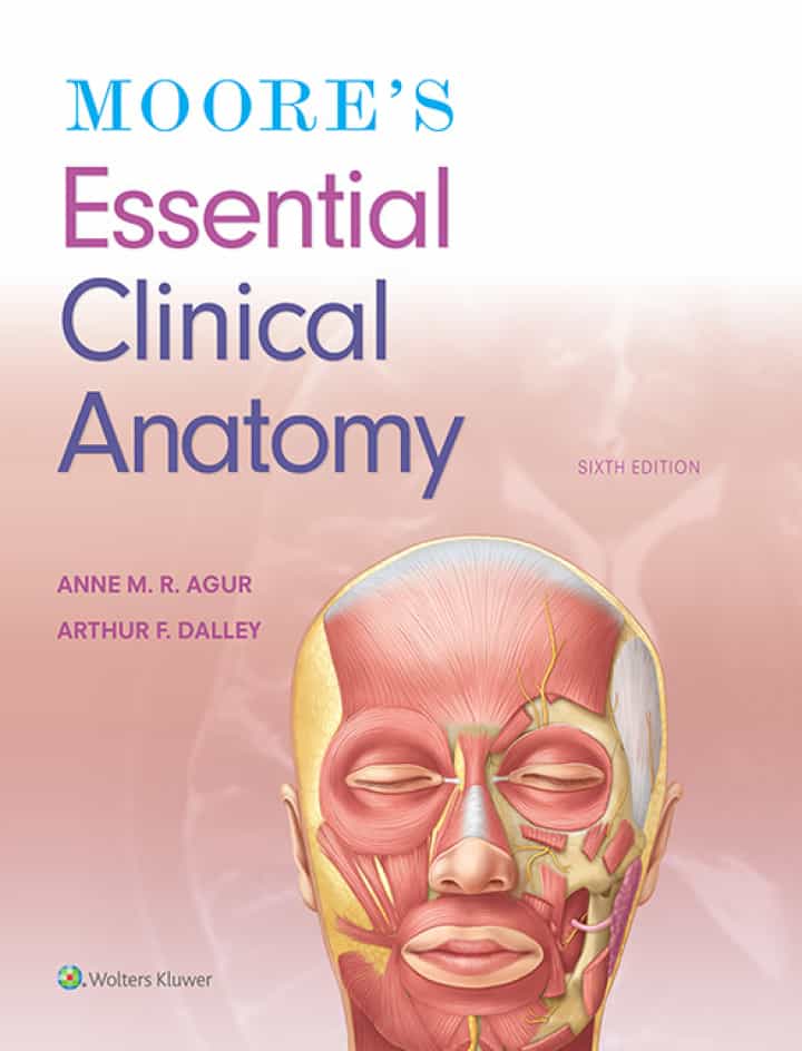 Moore's Essential Clinical Anatomy (6th Edition) - eBook