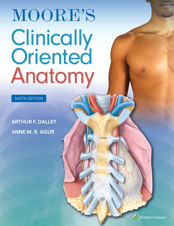 Moore's Clinically Oriented Anatomy (9th Edition) - eBook